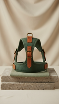 Human-Dog Trail Jacket Set