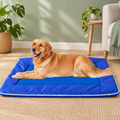 Dog resting on Breeze Mat