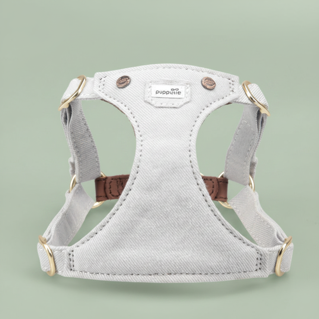 Scout Harness